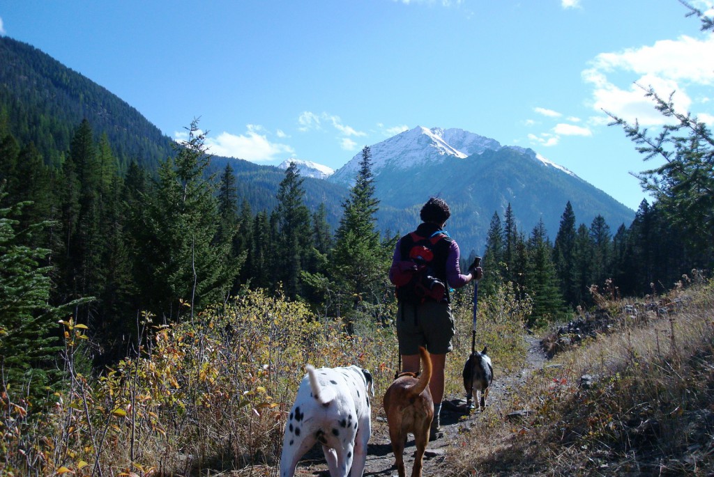 dogs-on-trail | Dog Mountain Bakery